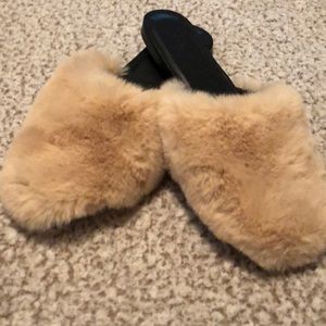 Fur Slides